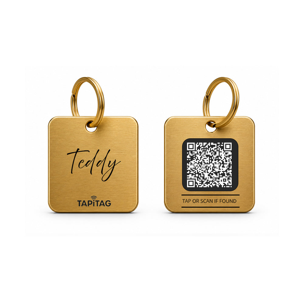 Best Dog ID Tags in 2026: Engraved, QR, NFC & GPS Compared