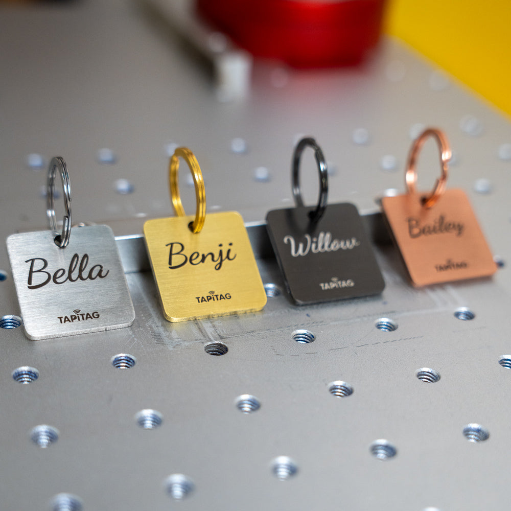 Four square metal pet id tags with key rings, labeled Bella in silver, Benji in gold, Willow in dark gray, and Bailey in copper, arranged on a perforated metal surface.