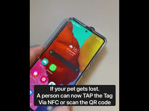 How to use TAPiTAG pet tag if your pet is lost 